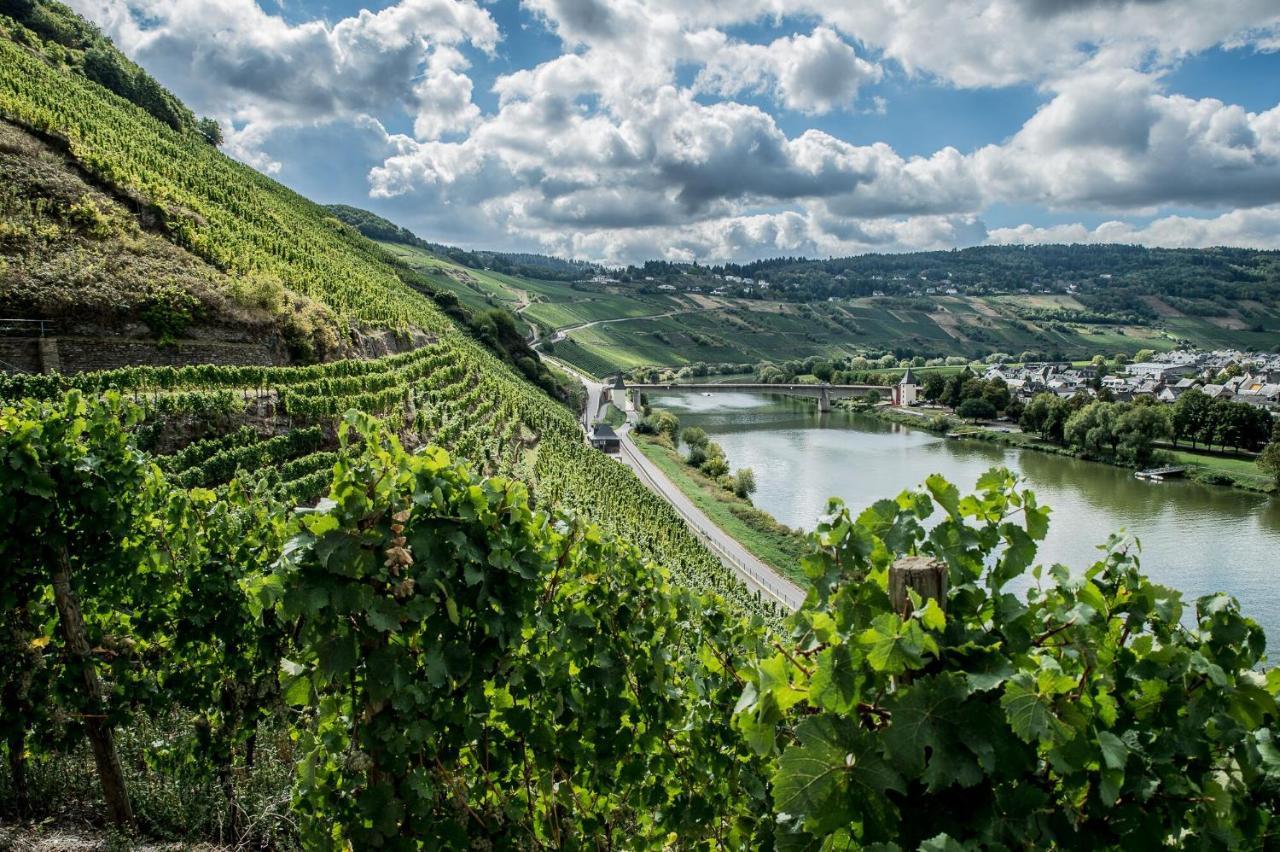 Gaestehaus-Weingut Loersch Лайвен Экстерьер фото