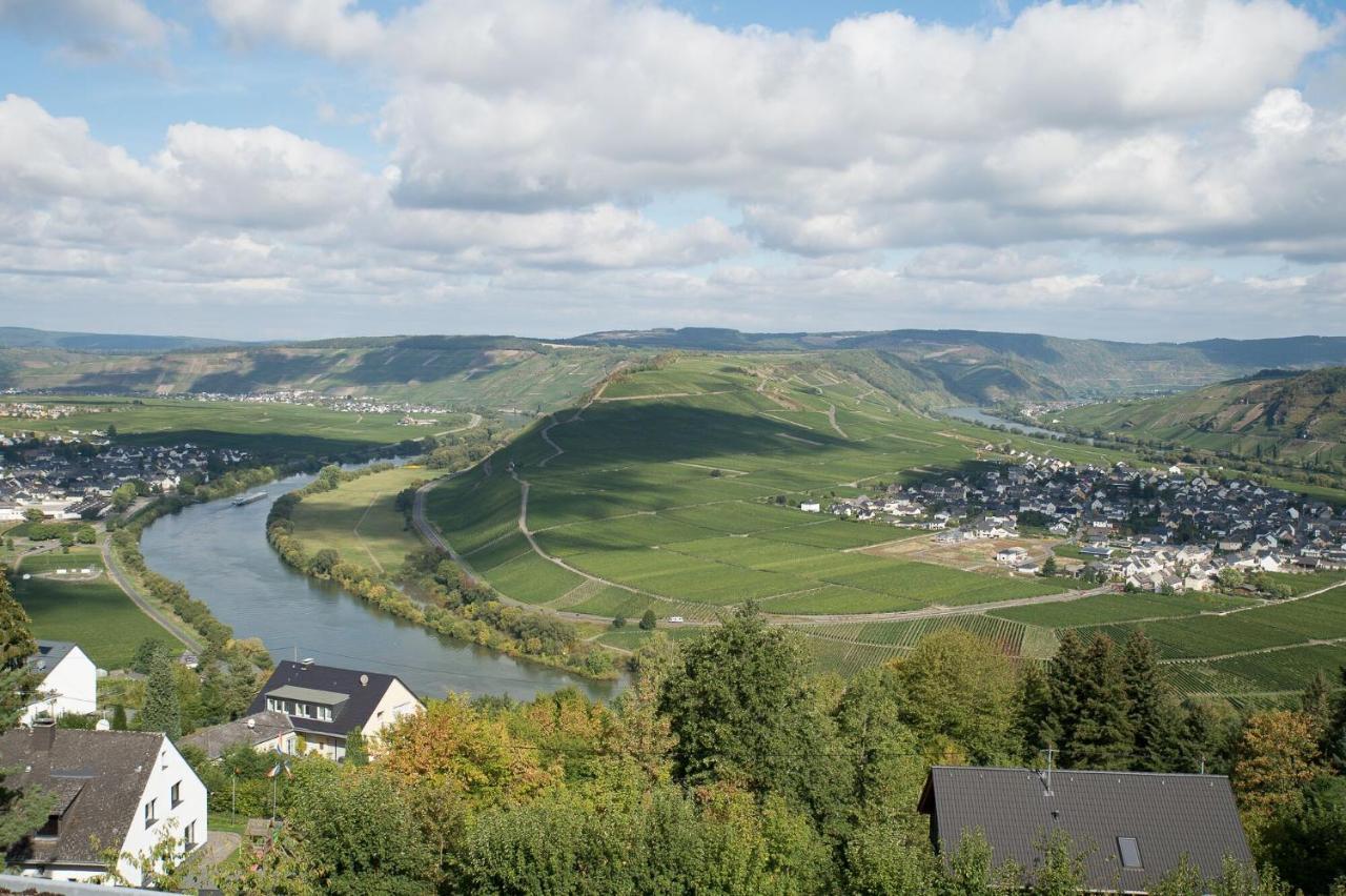 Gaestehaus-Weingut Loersch Лайвен Экстерьер фото